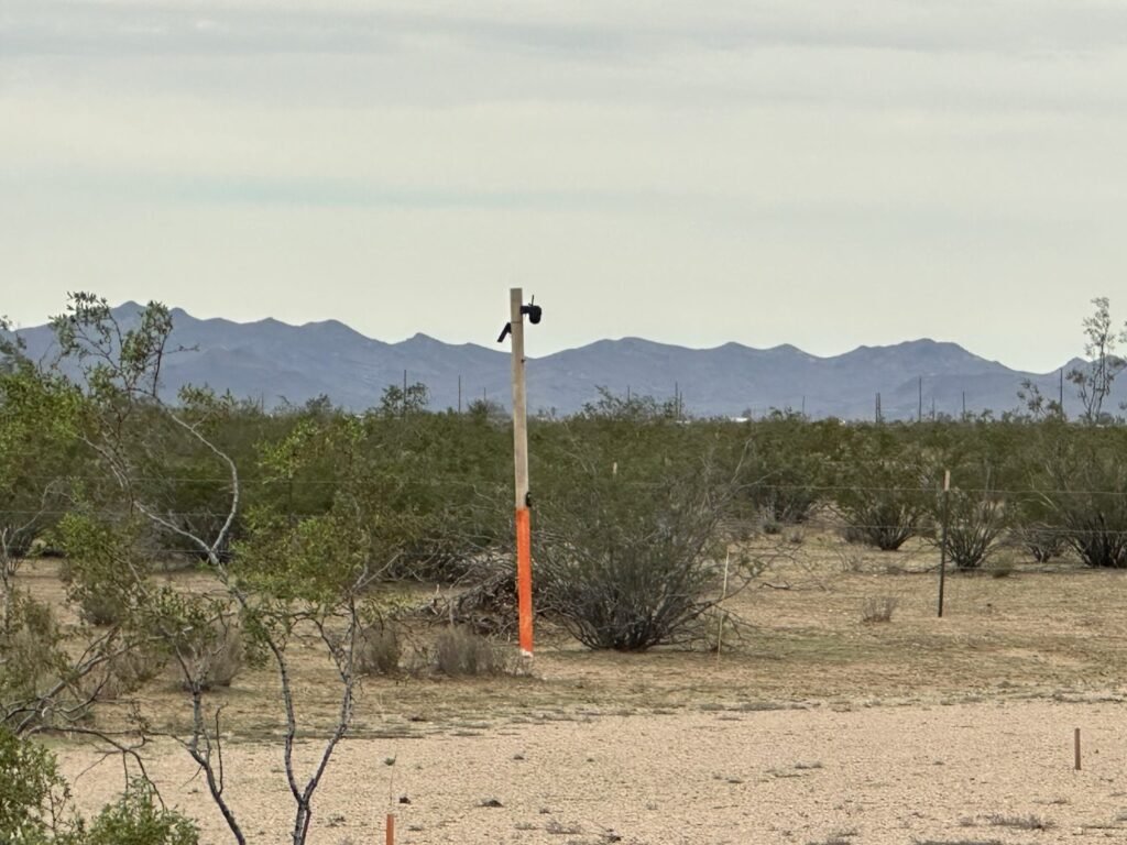 Camera pole with orange base at RV Safe Site in Golden Valley, AZ, with mountains in the background