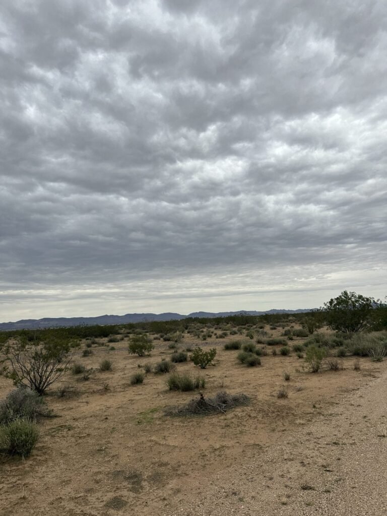 Desert brush and mountains under a cloudy sky near RV Safe Site in Golden Valley, Arizona